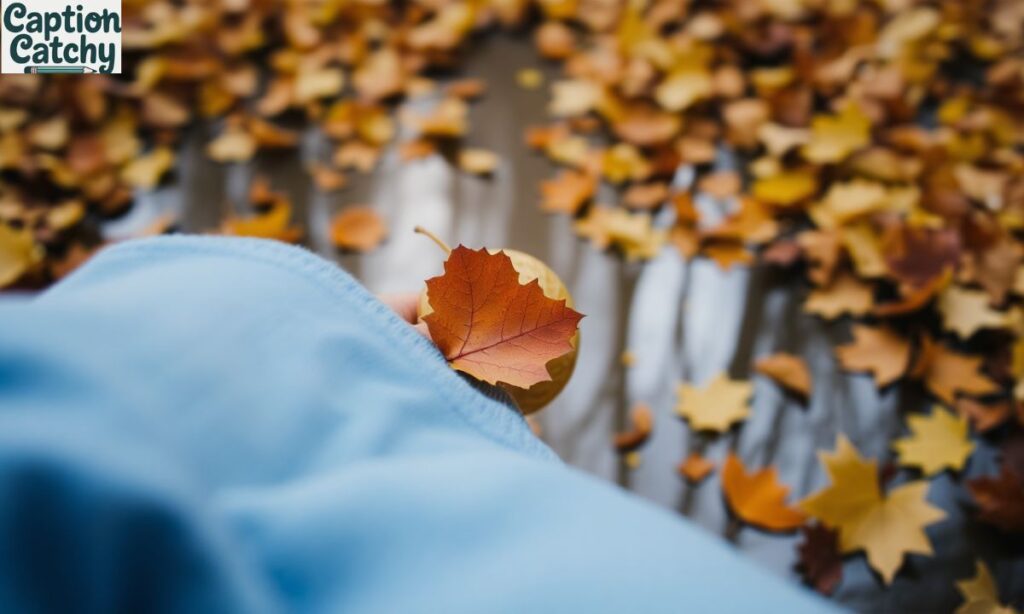 Cute Fall Captions For Instagram
