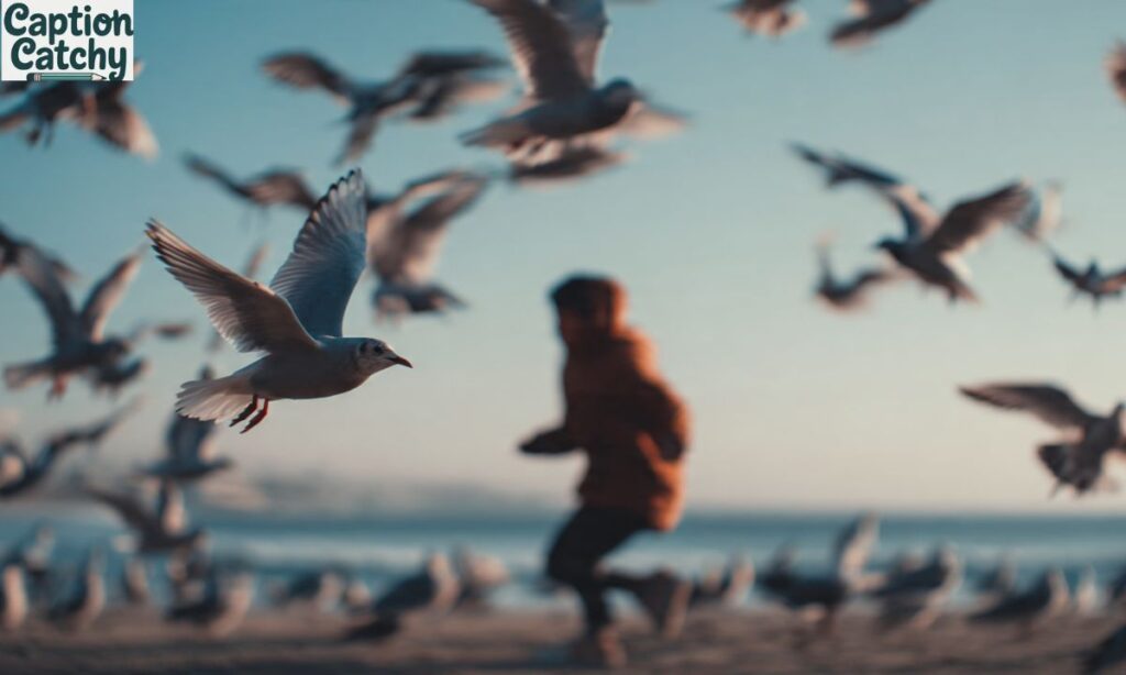 Short Pinterest Captions for Quick Impact
