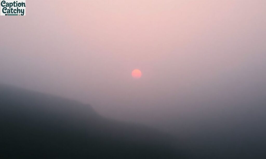 Aesthetic Silent Repost Captions That Feel Deep
