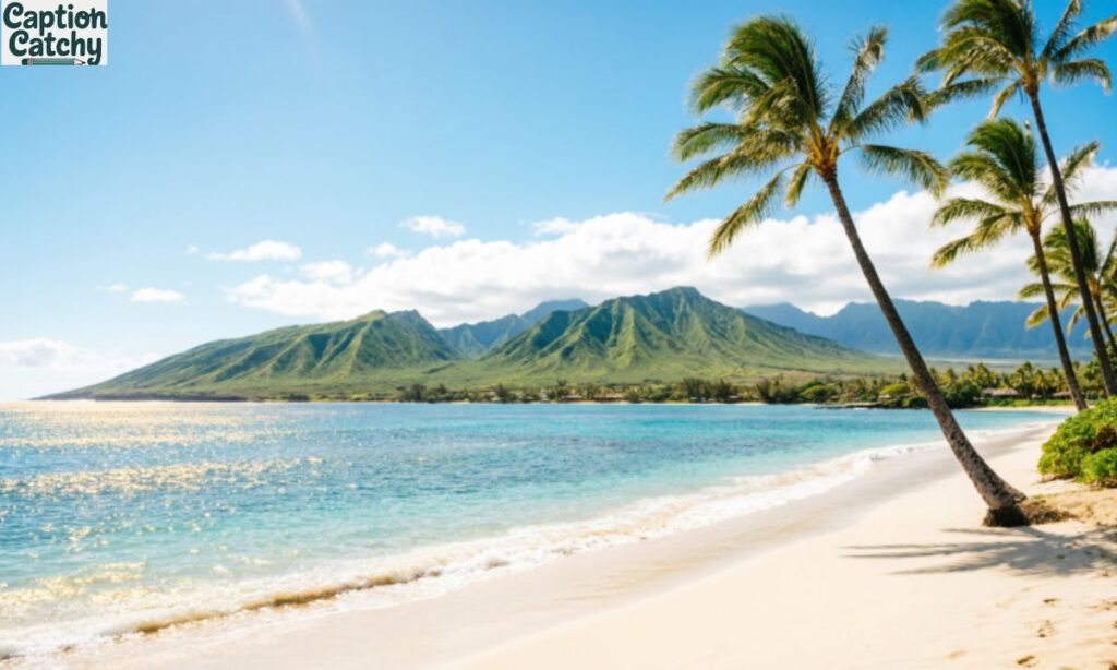 Hawaii Beautiful View Captions for Instagram post
