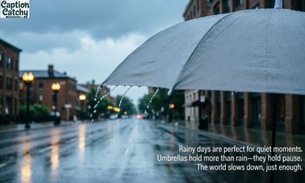 Short Captions For Rainy Day Pictures
