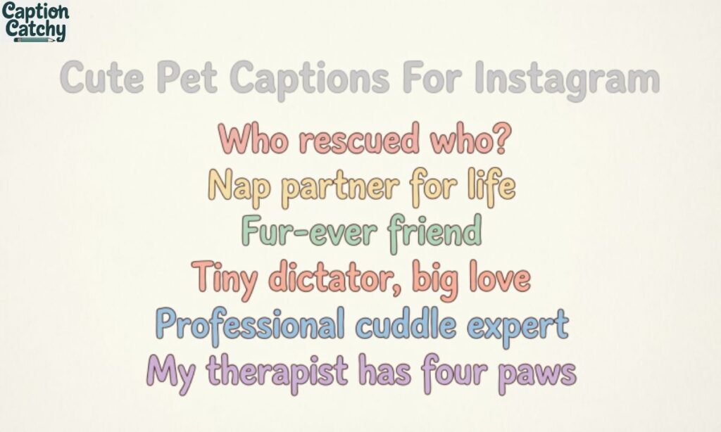 Cute Pet Captions For Instagram post
