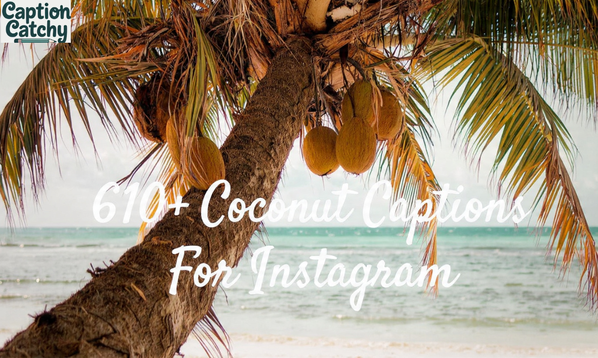 Coconut Captions For Instagram