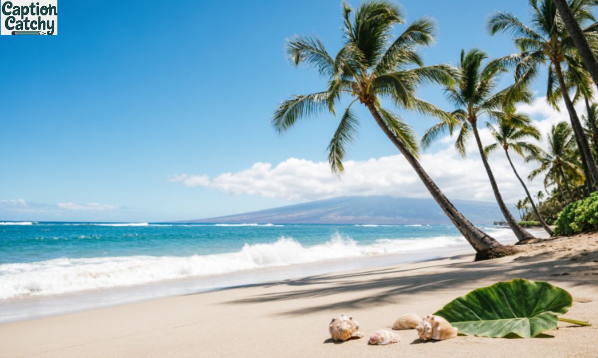 Hawaii Captions For Instagram